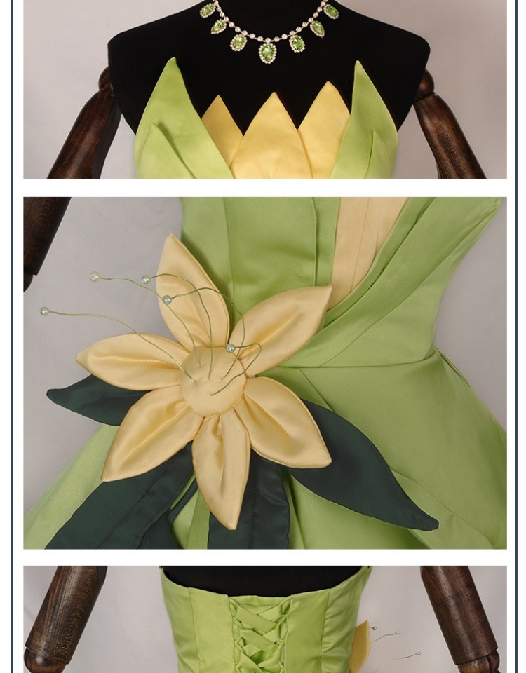 Princess Tiana Dress Cosplay C - Women Accessories Wholesale recension och pris