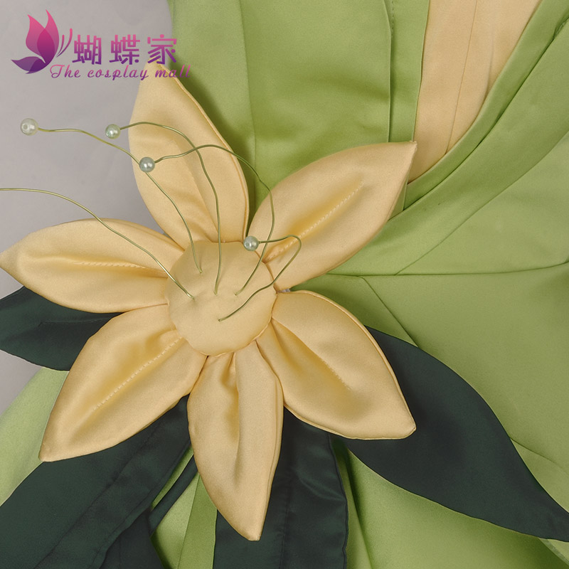 Princess Tiana Dress Cosplay C - Women Accessories Wholesale recension och pris